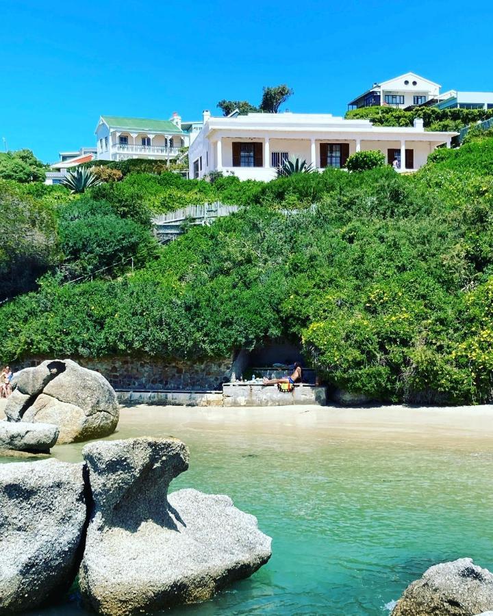 Bosky Dell On Boulders Beach 西蒙镇 外观 照片