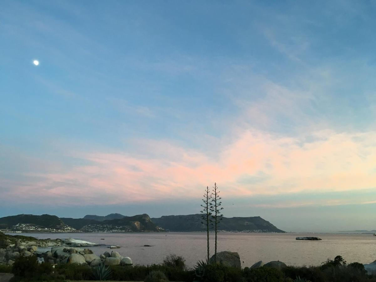 Bosky Dell On Boulders Beach 西蒙镇 外观 照片