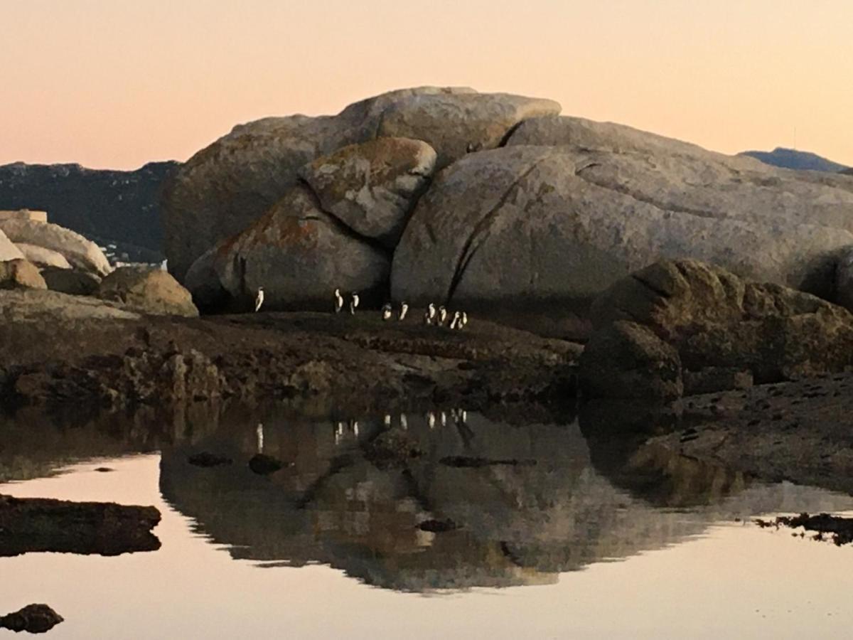 Bosky Dell On Boulders Beach 西蒙镇 外观 照片