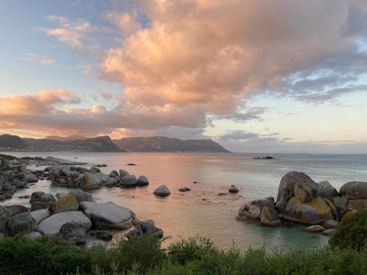 Bosky Dell On Boulders Beach 西蒙镇 外观 照片